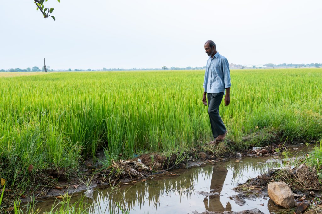 Investing in AI and Digital Innovation for the Future of Agriculture in India